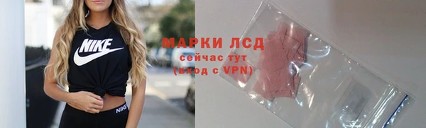 прущие грибы Артём