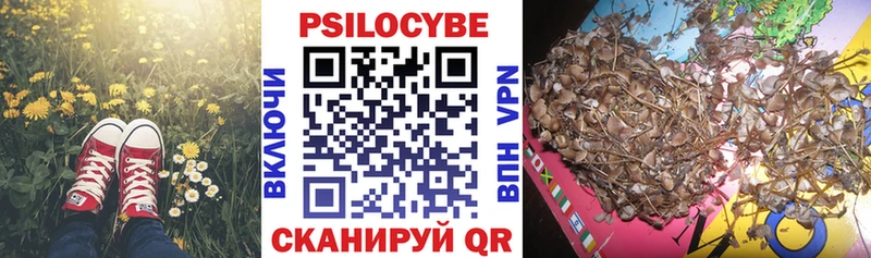 Псилоцибиновые грибы мицелий  закладки  Нюрба 